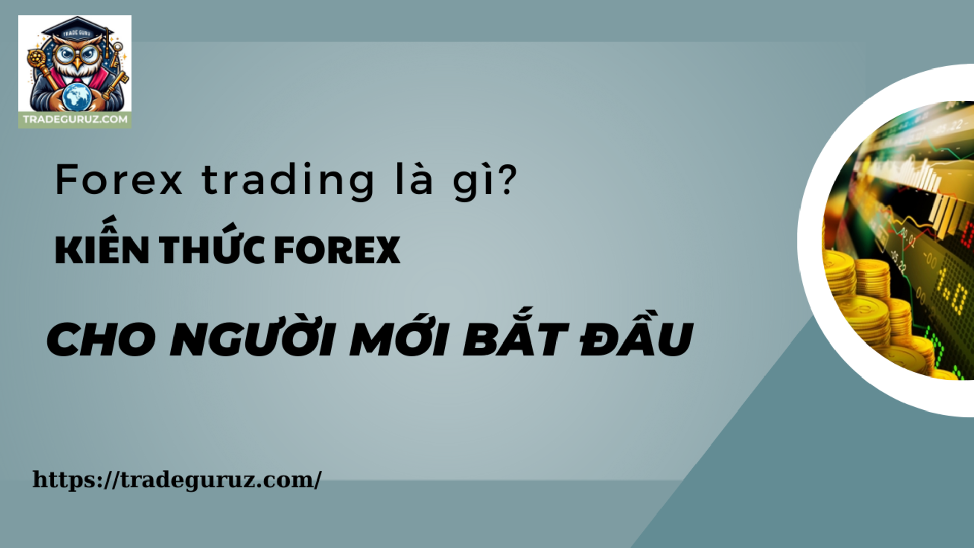 blog-image